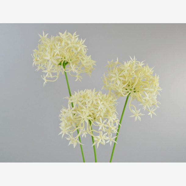 Allium Stilk, Hvid L: 64 cm.