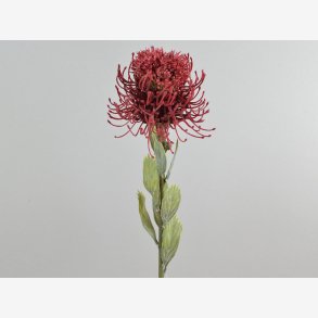 Protea Blomst 60 cm. Lilla