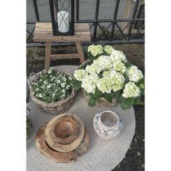 House Nordic - Menorca Tppe, 120cm