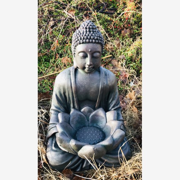 Buddha 49cm, Siddende m. Lotus