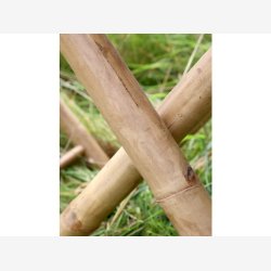 Chic Antique - Lyon Stol foldebar Naturlig H92xB50xL42cm Bambus.