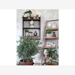 Chic Antique - Reol m/5 hylder og kurve Naturlig H170xB42xL70cm Grantr.