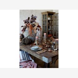 Chic Antique - Vitrineskab m. 2 lger og hylder, natur