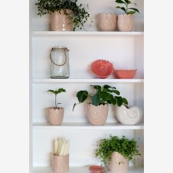 Chic Antique - Marseille Vgskab m. 4 hylder Natur