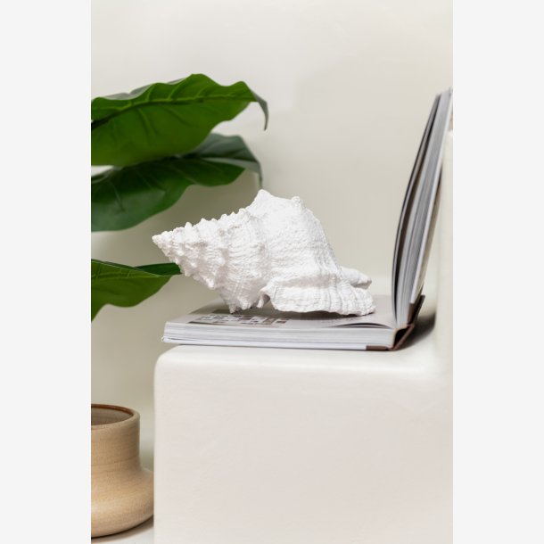 J-Line - Konkylie Hvid Polyresin 25x17x13cm.