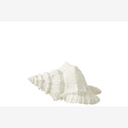 J-Line - Konkylie Hvid Polyresin 25x17x13cm.