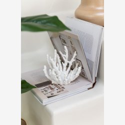 J-Line - Koral Hvid Polyresin Lille 15x9x16cm.