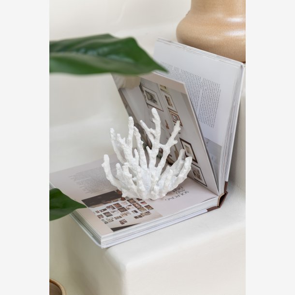 J-Line - Koral Hvid Polyresin Lille 15x9x16cm.