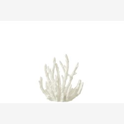 J-Line - Koral Hvid Polyresin Lille 15x9x16cm.