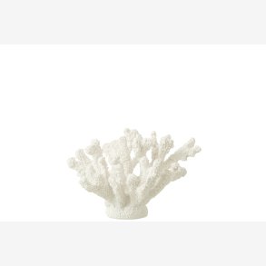J-Line - Koral Hvid Polyresin Medium 19x17x18cm.