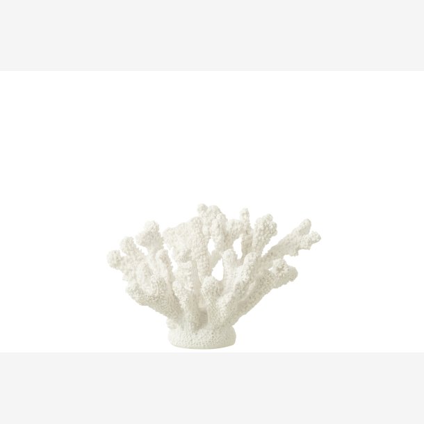 J-Line - Koral Hvid Polyresin Medium 19x17x18cm.
