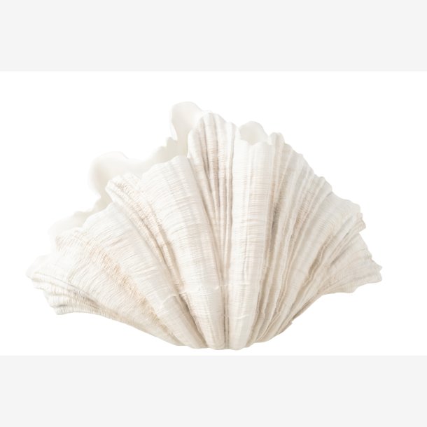 J-Line - Muslingeskal Dekorationsvase Beige Polyresin 57x31x36cm.