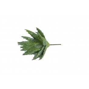 Speedtsberg - Kunstig Aloe Vera 15cm.