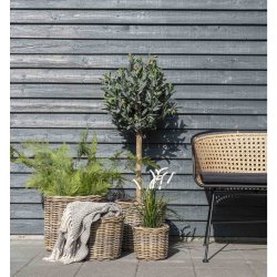 House Nordic - Bogor Kurv, st af 4 stk.