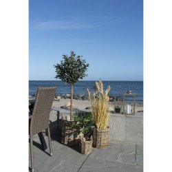 House Nordic - Sema kurv, st af 3 stk.