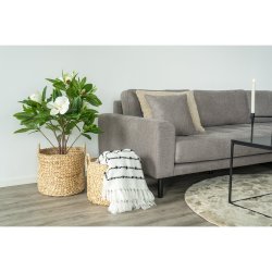 House Nordic - Passo kurv, st af 2 stk.