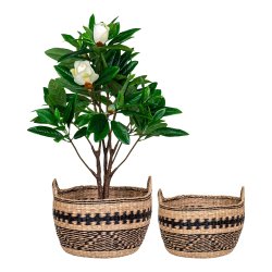 House Nordic - Teba kurv, st af 2 stk.