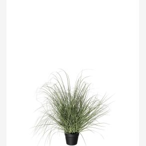 Gr�splante Gr�n H:70 cm.