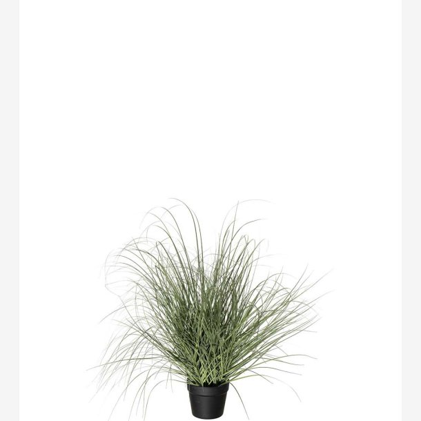 Gr�splante Gr�n H:70 cm.