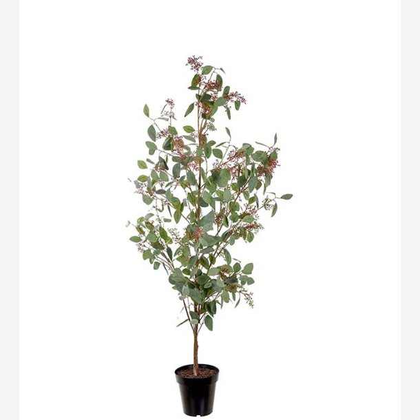 Mr. Plant - Eucalyptus 175 cm