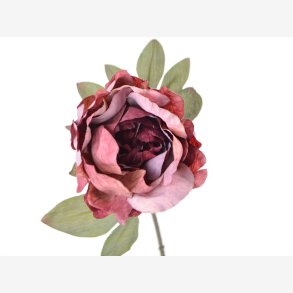 Pon stilk, bordeaux-lilla, L: 58 cm.