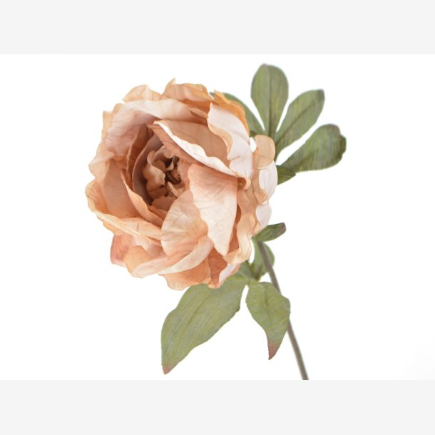 Pon stilk, Beige-pink L: 58 cm.