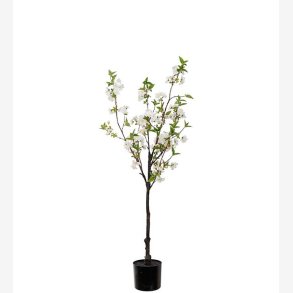 Mr. Plant - Krsbrsblom 120 cm