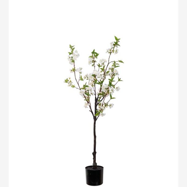 Mr. Plant - Krsbrsblom 120 cm