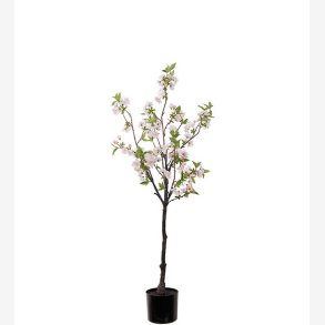 Mr. Plant -  Krsbrsblom 120 cm pink