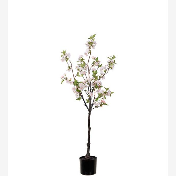 Mr. Plant -  Krsbrsblom 120 cm pink