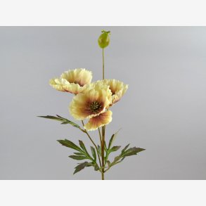 Valmue m/3 blomster & 1 frstand 69 cm. Creme