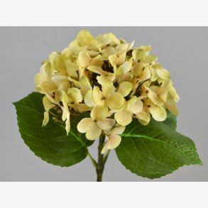 Hortensia Blomst m/blade 48 cm. Creme