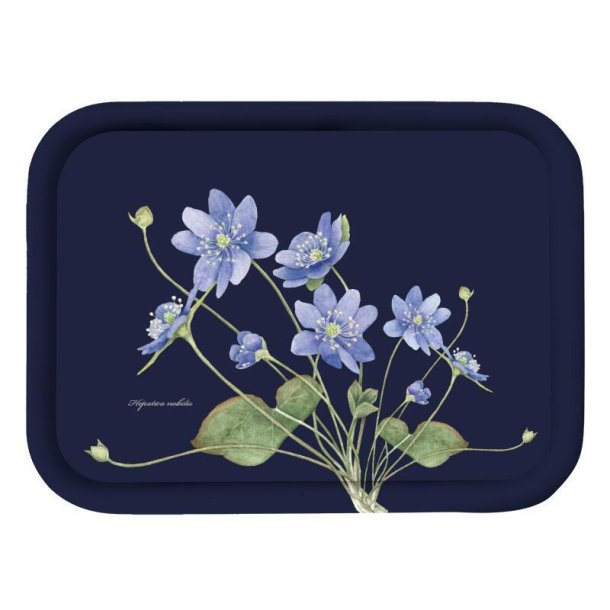 Koustrup &amp; Co � Serveringsbakke Bl� Anemone 20 x 27 cm