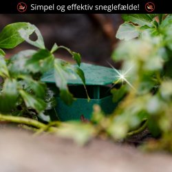 Sneglef�lde 2 stk.