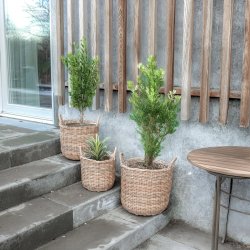 My Cozy House - Rattan plantekurve i natur - 3 stk.