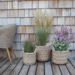 My Cozy House - Rattan plantekurve i natur - 3 stk.