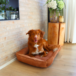 OLGA - Hundekurv i fl�jl 70 x 52 cm.