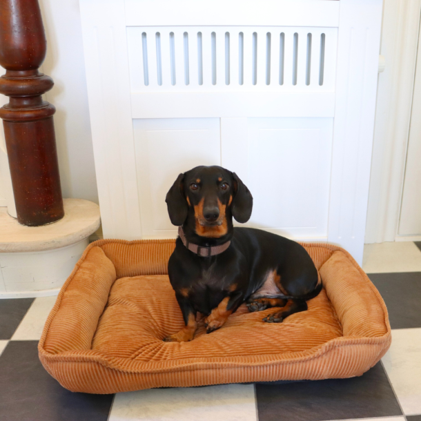 OLGA - Hundekurv i fl�jl 70 x 52 cm.