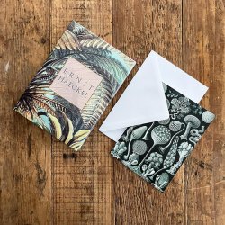 Koustrup&Co. - Ernst Haeckel 8 kort