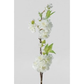 Kirsebrgren 45 cm. hvid