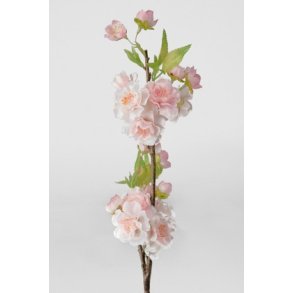 Kirsebrgren 45 cm. rosa