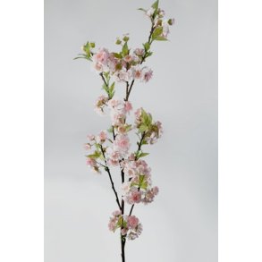 Kirsebrgren 120 cm. rosa
