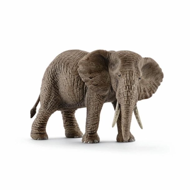 Schleich - Elefant hun