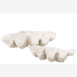 J-Line - Dekorations Sk�l Musling B: 41 D: 68 H: 23 cm. Poly