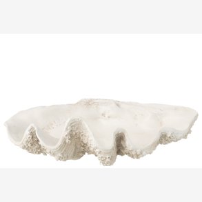 J-Line - Dekorations Sk�l Musling B: 41 D: 68 H: 23 cm. Poly