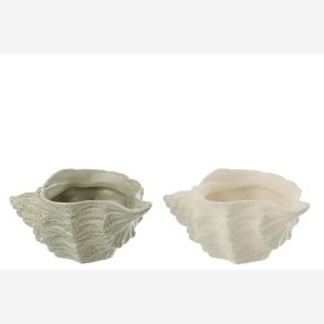 J-Line - Urtepotteskjuler Konkylie L: 25 H: 10 B: 14 cm. - Leveres Assorteret 1 stk. 
