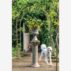 J-Line - Blomsterpotte Antik Udend�rs Polyresin Gr�n 40x40x56cm.