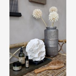 Chic Antique - ternel Hrbrste Bambus, Gummi H: 3,5 L: 23,5 B: 8 cm