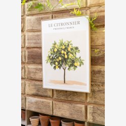 J-Line - L�rred m/Citroner 45x60 cm. - Leveres Assorteret 