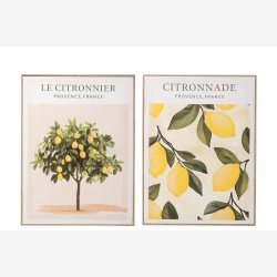 J-Line - L�rred m/Citroner 45x60 cm. - Leveres Assorteret 